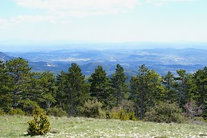 Autre point de vue en direction du Var