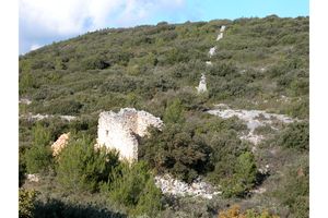Mas en ruine bordant le Mur de la Peste