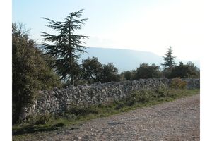 Autre portion du mur