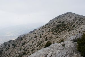 Ascension finale du sommet