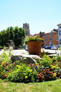 Place fleurie et aperçu du clocher de l’église paroissiale