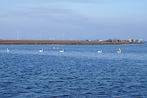 Paysage en direction du bassin de Fos