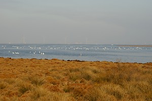 Point de vue en direction du Golfe de Fos