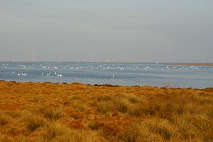 Point de vue en direction du Golfe de Fos