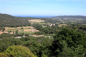 La campagne avec la mer Méditerranée à l’horizon