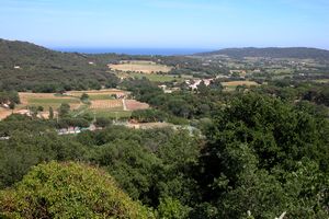 La campagne avec la mer Méditerranée à l’horizon