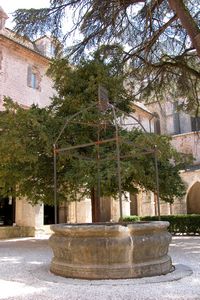 Un puits au coeur du cloître