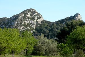 Au pied de la chaine des Alpilles