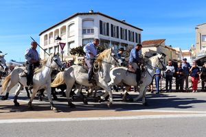 Festivité des Saintes-Maries-de-la-Mer