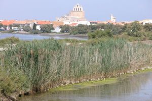 Les Saintes à l'horizon