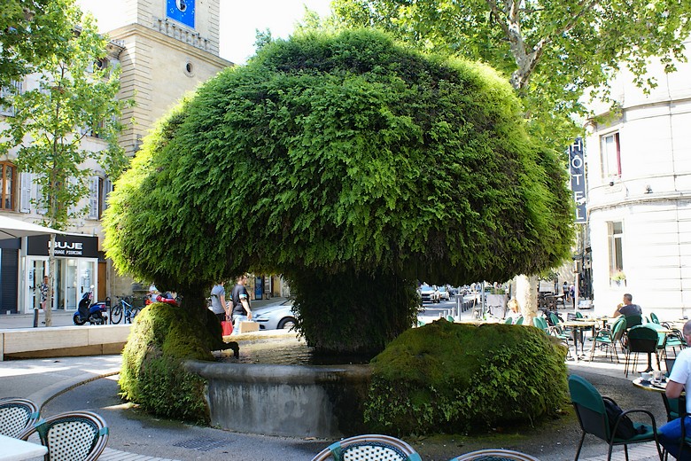 Salon-de-Provence (Bouches-du-Rhône) - Fontaine moussue sur la place Crousillat