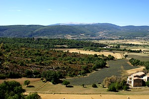 Mont Ventoux à l'horizon