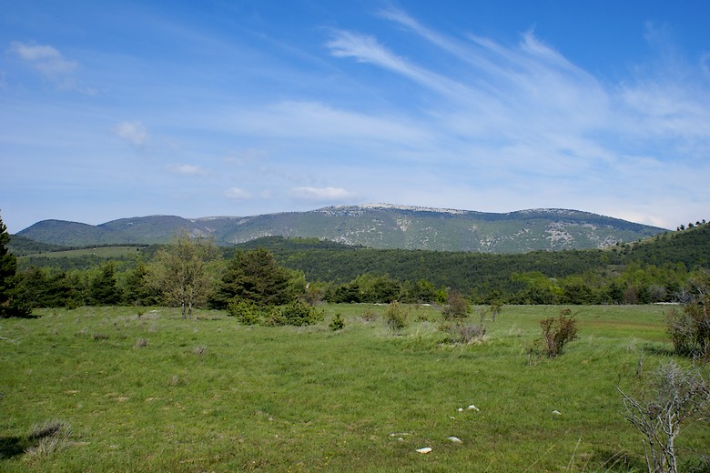 Montagne de Lure à l'horizon