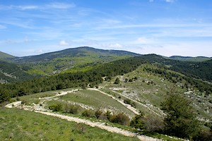 Au pied de la montagne de Lure