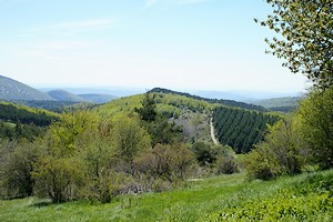 Un point de vue