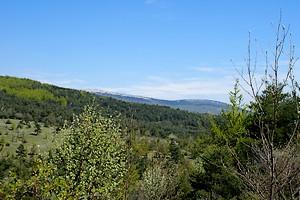 Aperçu d'un sommet de la montagne de Lure