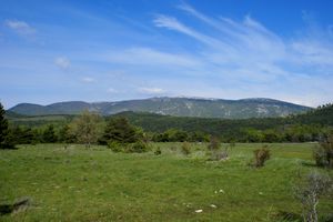 Montagne de Lure à l'horizon