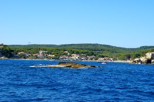 Les Tamaris à l'horizon