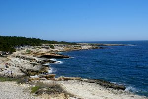 A proximité des Tamaris