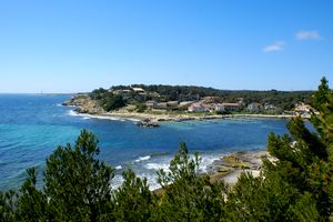 Point de vue sur les Tamaris