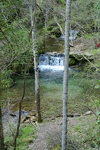 Rivière entre Sivergues et Buoux