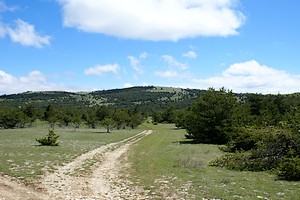 Montagnes derrière le Jas