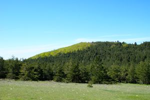 Montagne face au Jas