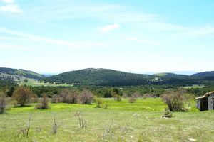 Paysage face au Jas des Agneaux