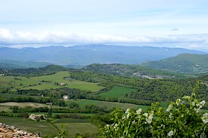 Vue sur la montagne de Lure