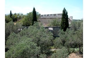 Remparts dans les hauteurs du Fort Saint-André