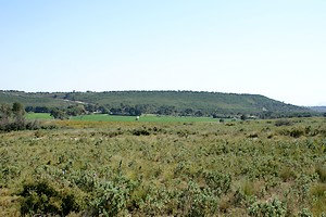 Intérieur du Massif de Vitrolles