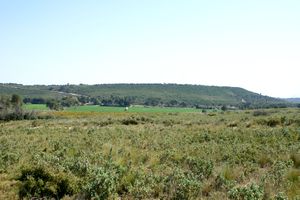 Intérieur du Massif de Vitrolles